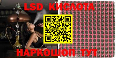 гидропоника Краснокаменск