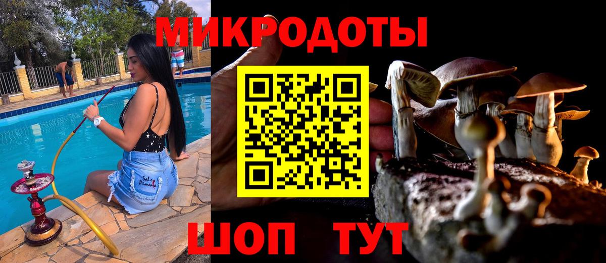 Зима  Галлюциногенные грибы мухоморы  Вход с VPN 