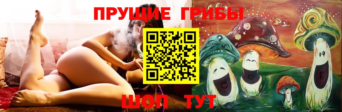 Галлюциногенные грибы Psilocybe Зима